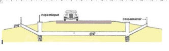 Model van een dassentunnel onder een verkeersweg (bron Das en Boom). Dergelijke tunnels worden niet alleen door dassen gebruikt, maar ook door egels, vossen, marters, kikkers, slangen en padden, muizen, en otters (in plasgebieden). Ook katten worden vaak 